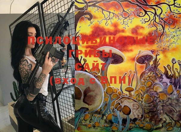 круглые Алзамай