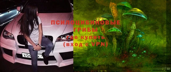 круглые Алзамай