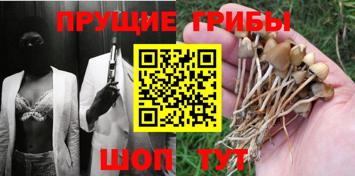 Галлюциногенные грибы Psilocybe  Вход с VPN  Слободской 